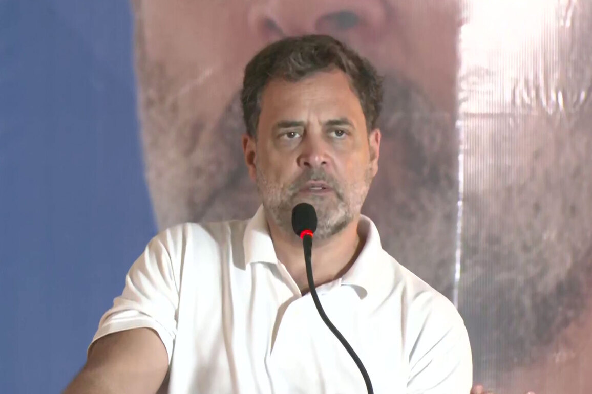 "I do not fear Narendra Modi": Rahul Gandhi slams BJP, says targeted him "round-the-clock"