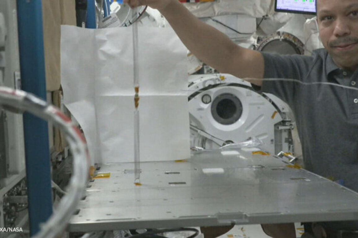 MBRSC announces successful ISS experiment by UAEU team in Asian try zero-G 2025