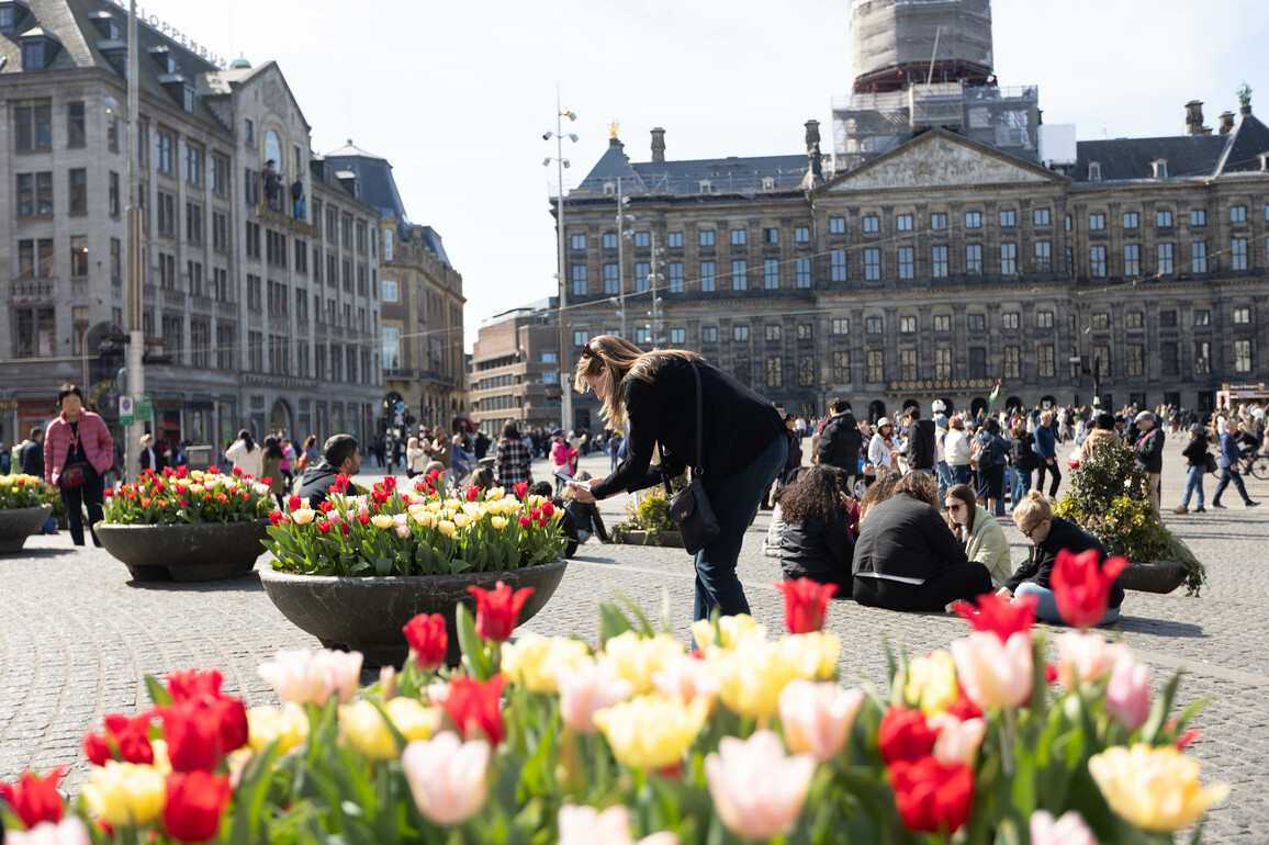 THE NETHERLANDS-AMSTERDAM-TULIPS