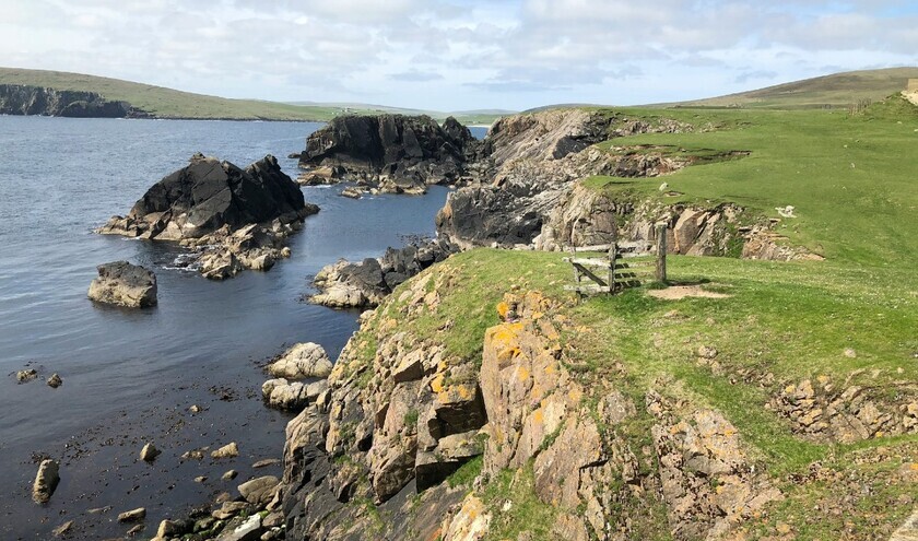 (c) Martin Neill/Unsplash