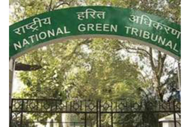 NGT upholds environmental clearance for Great Nicobar project, directs strict compliance with EC conditions