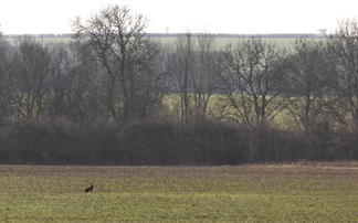 Rural group accuses rail company of committing 'crime against the countryside'