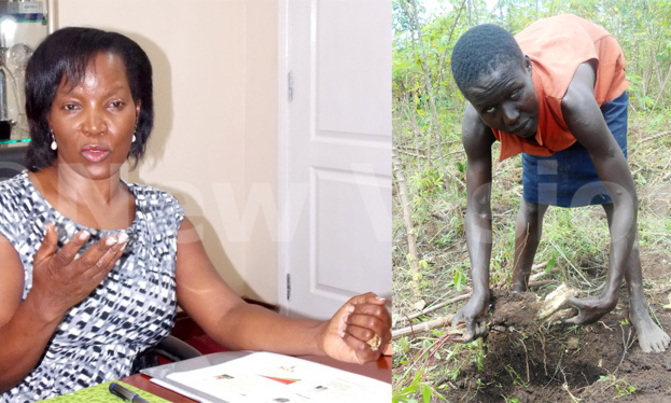KCCA needs sh800m for city festival KCCA needs sh800m for city festival