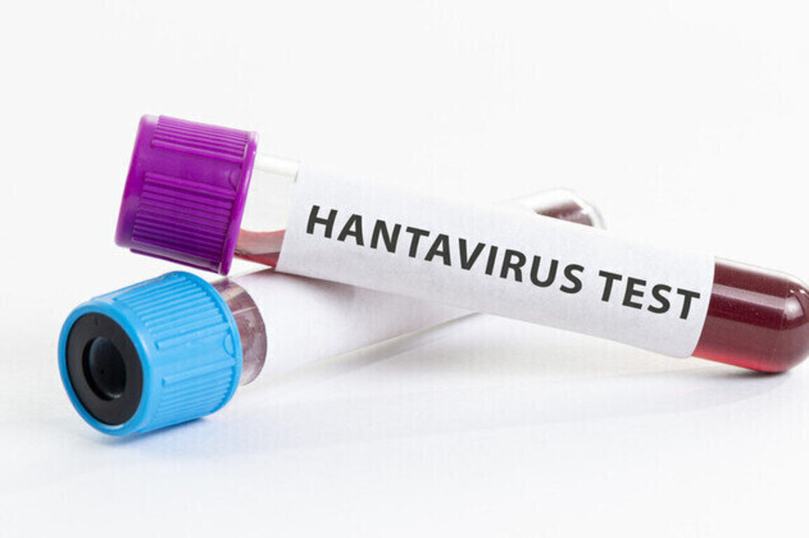 Hantavirus-hit cruise ship cleared to leave African waters
