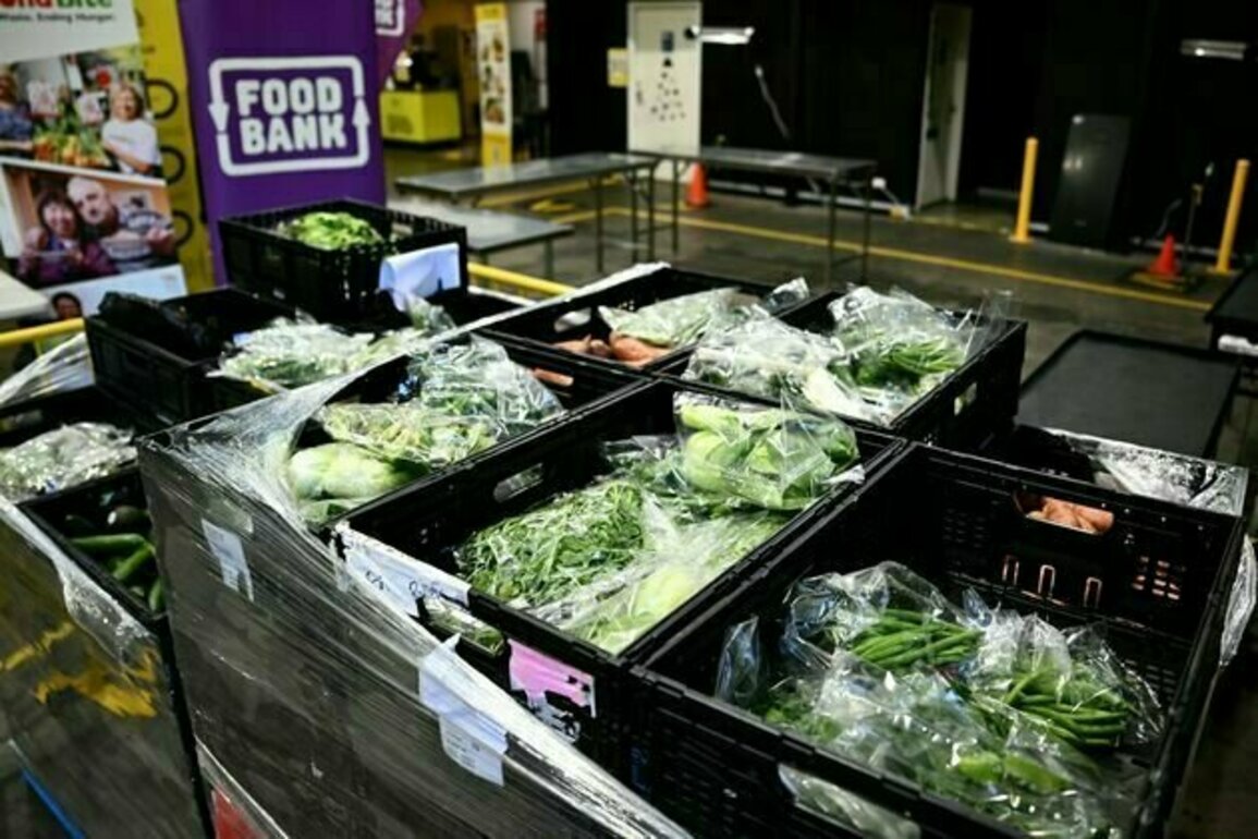 Labor is promising a national food security strategy - but there's no mention of Australians who are going hungry