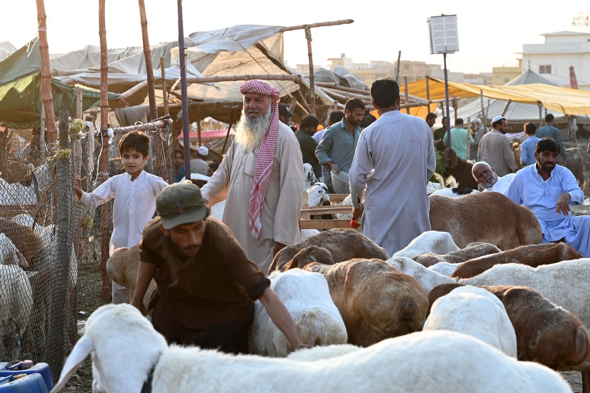 PAKISTAN-ISLAMABAD-EID AL-ADHA-LIVESTOCK MARKET