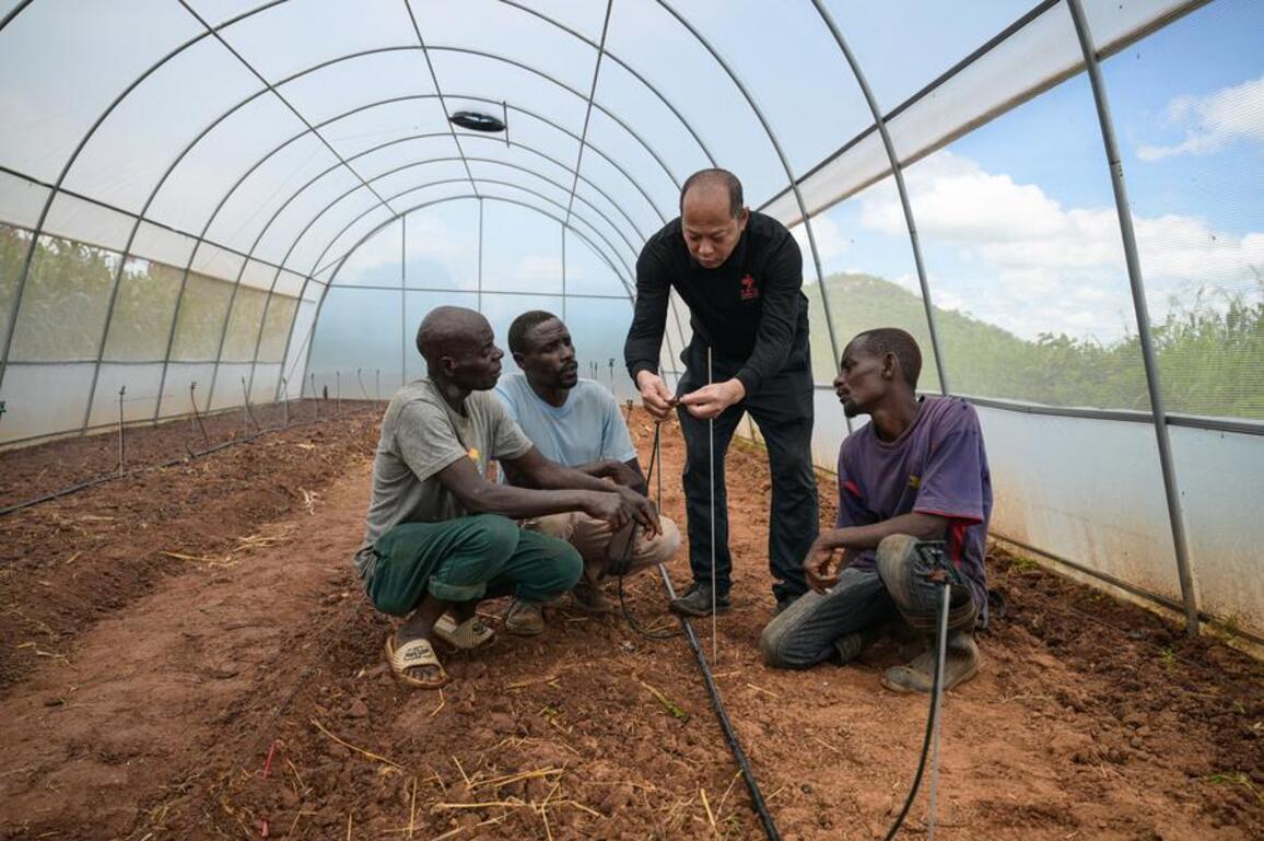 (Hello Africa) From drought to hope: China-Zimbabwe agricultural cooperation revitalizes rural village