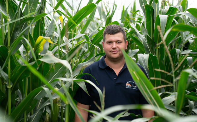 Partner insight: Earliness of maturity key for marginal maize grower 