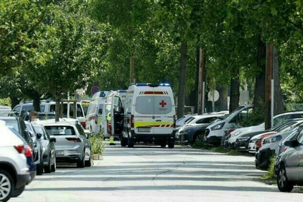 Several reported dead in Austrian school shooting