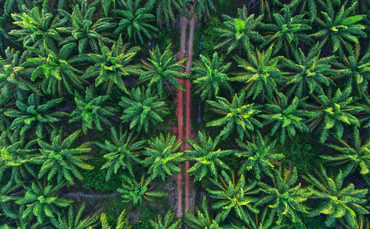 Las emisiones ocultas en la cadena mundial de suministro de alimentos – www.businessgreen.com