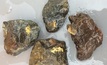 Gold nuggets in “matrix material” from the Comet Well and Purdy’s Reward area in north-west Western Australia