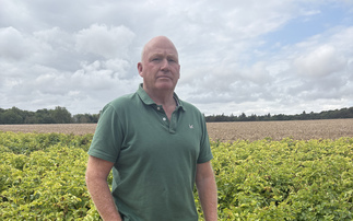 Farming Matters: 'If we're serious about food security, we need to be serious about water security'
