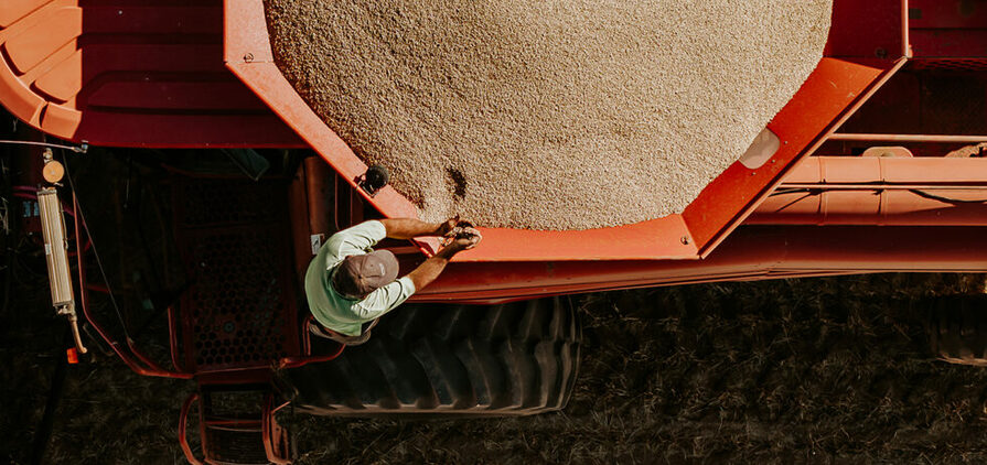 Harvest is nearly over in some parts of the country, while others have been held up by weather conditions. Pictured is the winning entry of GrainCorp’s 2024 Harvest Photo Competition by Rebecca Gosling from Poochera, South Australia.