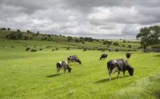 Managing business change in dairy farming