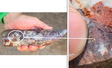 Ouro visível no projeto Boa Vista