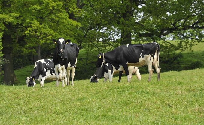 Dairy farmers fear financial losses