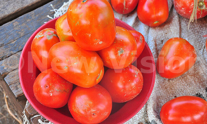 Possible health benefits of tomatoes Possible health benefits of tomatoes