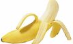 Banana farm bucks Qld job trend