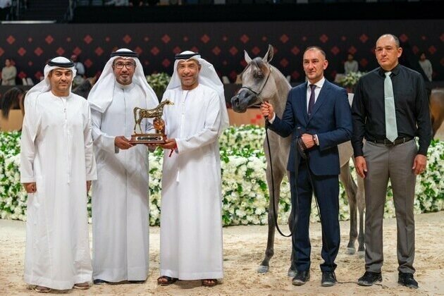 Shaden Yaser emerges top scorer in opening day of Abu Dhabi International Arabian Horse Championship