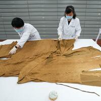 Silk museum sees surge of visitors as silk garments regain popularity