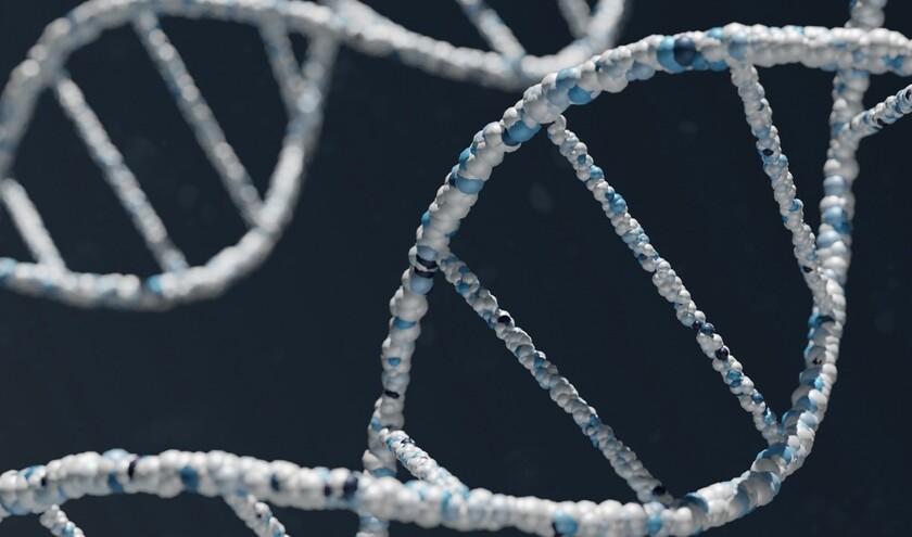 © Warren Umoh/Unsplash