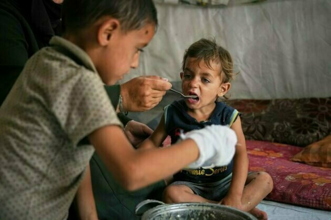 Israel allows a 'limited' amount of aid back into Gaza, where the humanitarian situation is desperate