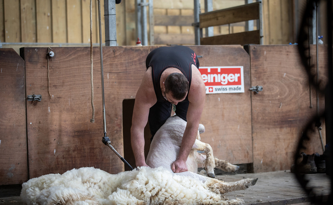 Renowned shearer, Matt Smith: "We are seriously motivated to go the extra mile to win this time"