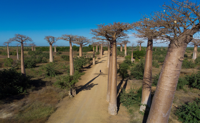 UN adopts sustainable development standards for regulated carbon markets