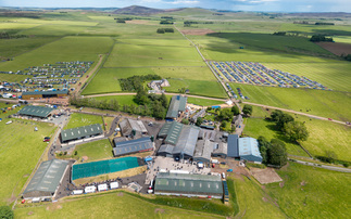 A day of connection and competition at NSA Scotsheep