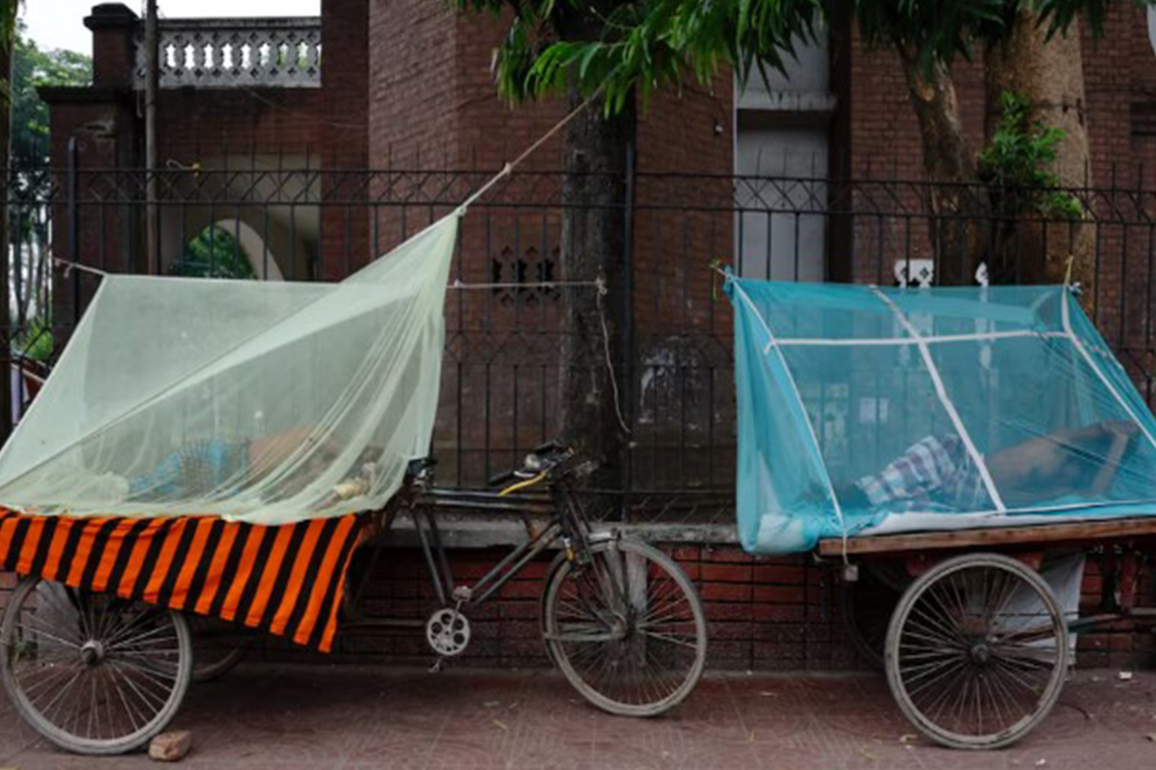 Bangladesh reports surge in dengue cases, records nine deaths in past 24 hours