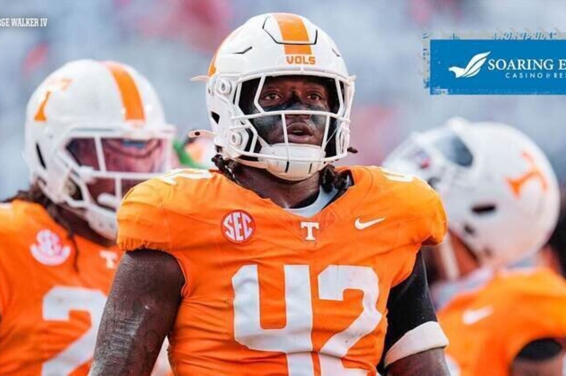A CLOSER LOOK: Defensive lineman Tyre West
