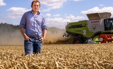 Greener wheat: Nestle launches new regenerative farming initiative