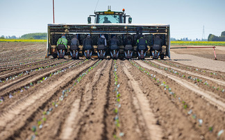 CAREERS: Helping farmers address labour issues