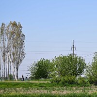 UZBEKISTAN-TASHKENT-SPRING-DAILY LIFE