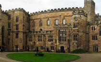 Durham University secures €3.5 million for major Horizon Europe research projects on farming and pollinators