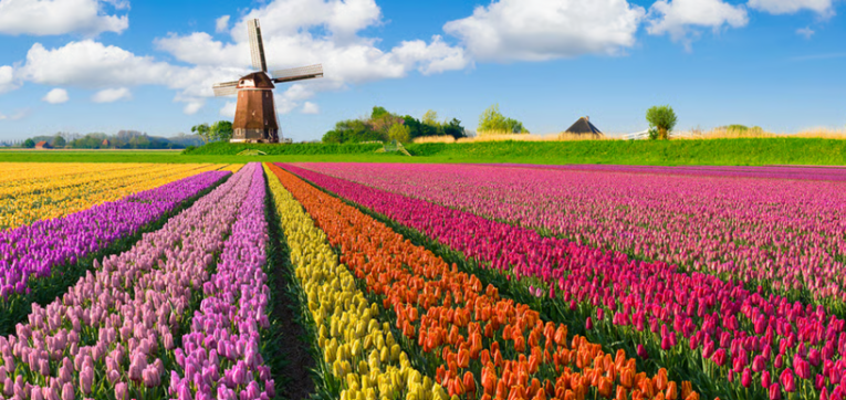 Redefining diversification in a concentrated market