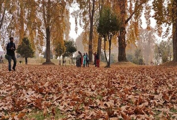 "Truly heaven", says mesmerised tourists visiting J-K in autumn