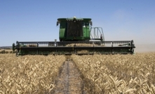 Harvest highlights need to check for disease