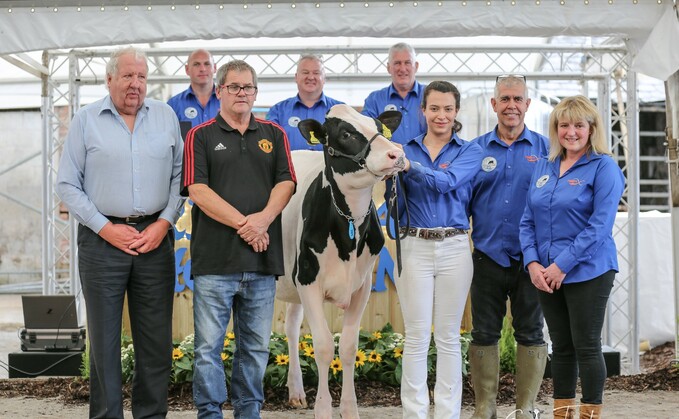Top price of 90,000gns was paid for Riverdane KD Hannah. She is pictured (front L-R): John Sherratt, Neale Evans, Jodie, Mark and Sue Nutsford. Rear L-R: Auctioneers Mark Davis, Glyn Lucas, and pedigree reader Graham Kirby. Photo: Evie Tomlinson photography.