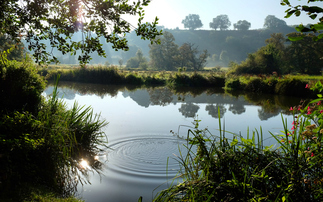 Study: Investment in river and wetlands restoration unlocks economic gains