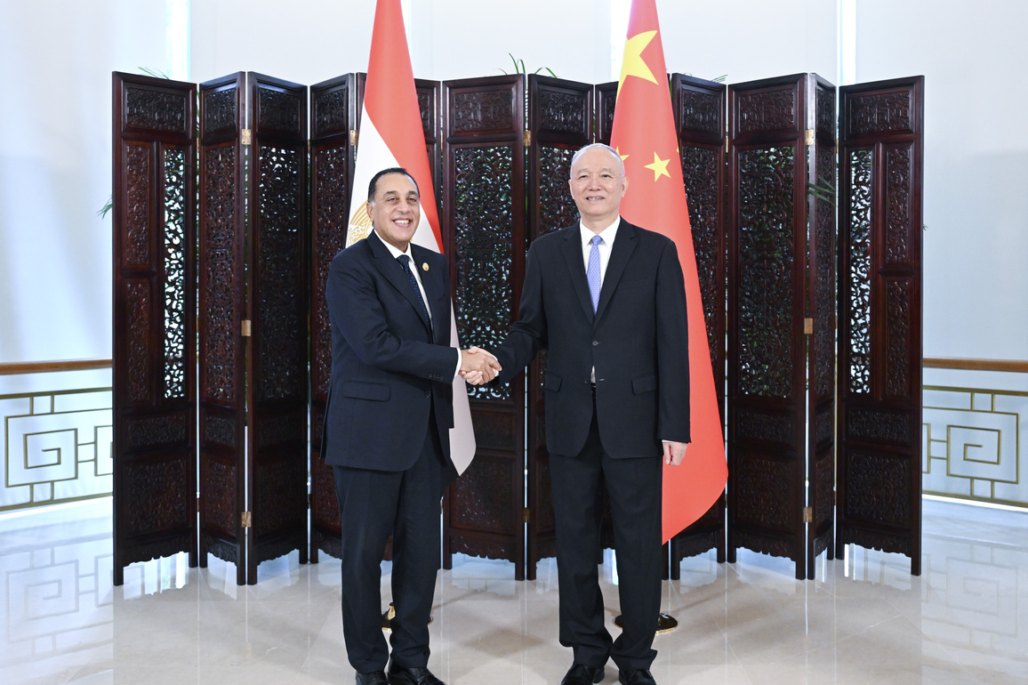 (SCO Tianjin Summit) CHINA-TIANJIN-CAI QI-EGYPTIAN PM-MEETING (CN)