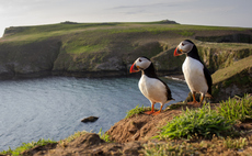 Government urged to develop 'nature-positive' policy plans for key industries