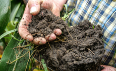 Mars urges policymakers to back regenerative farming push