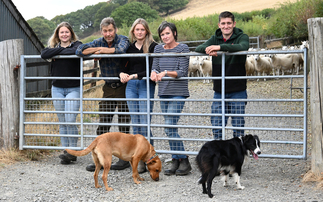 Why the Welsh Mule is the breed with no by-product in a traditional Mid Wales beef and sheep system