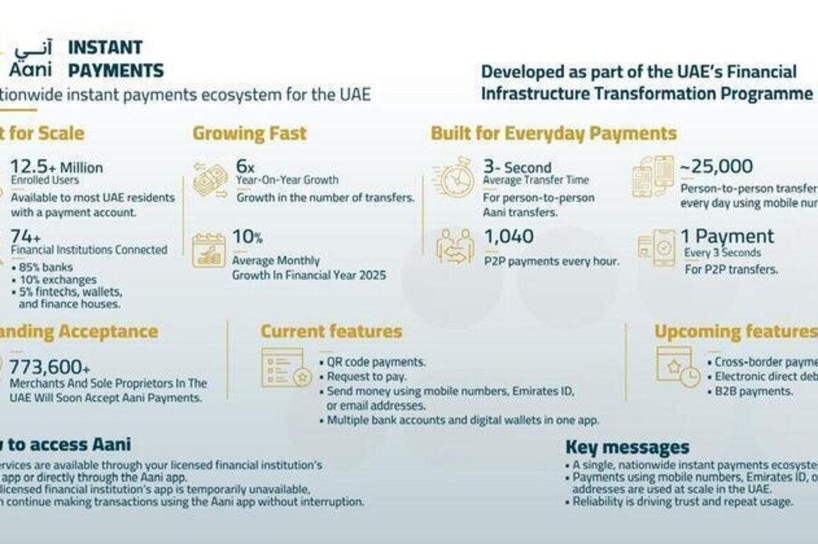 UAE instant payments platform 'Aani' tops 12.5 million users