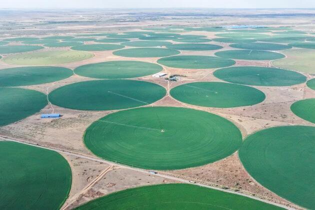 China's experience in desertification control offers inspiration for Saudi Arabia -- Saudi official