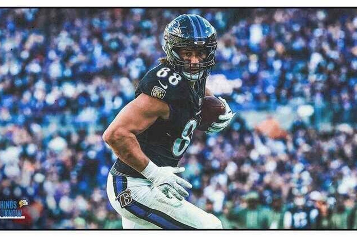 5 Things to Know About New Chargers Tight End Charlie Kolar