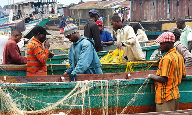 Lake Victoria fish stock dropping Lake Victoria fish stock dropping