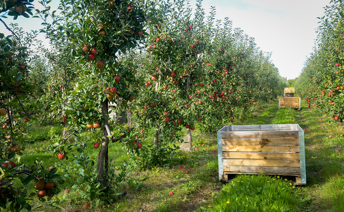 Scottish cider business expands production near Dundee