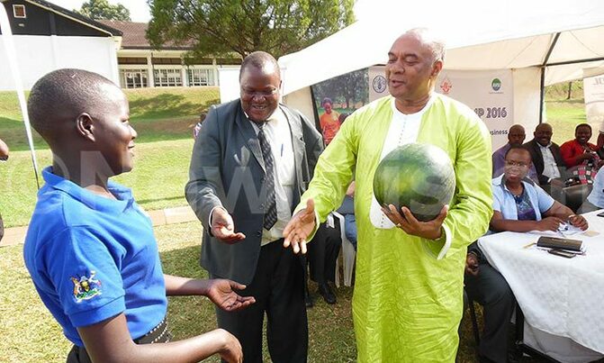 Youth called to change their mindsets on agriculture Youth called to change their mindsets on agriculture